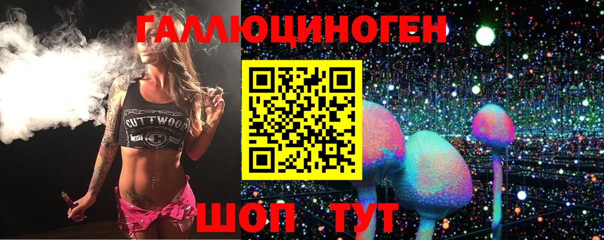 Галлюциногенные грибы MAGIC MUSHROOMS  Вход с VPN  Дятьково 